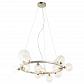 Подвесная люстра Lumien Hall Lovrenc LH4125/14P-SN-CL - фото №8