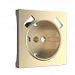 Накладка для розетки USB Werkel шампань рифленый W1179510 4690389160592 - фото №1