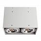 Потолочный светильник Arte Lamp Cardani A5936PL-2WH - фото №4
