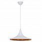 Подвесной светильник Arte Lamp Cappello A3406SP-1WH - фото №1