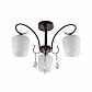 Потолочная люстра Toplight Paola TL2740X-03BC - фото №1
