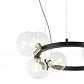 Подвесная люстра Lumien Hall Lovrenc LH4125/14P-SN-CL - фото №6
