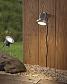 Ландшафтный светодиодный светильник Paulmann Profi Line Garden 98845 - фото №3