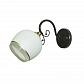 Бра Wedo Light Алфа 65865.02.21.01 - фото №1