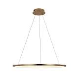 Подвесной светодиодный светильник Loft IT Ring 10014L