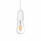 Подвесной светильник Loft IT Sherwood 10091 - фото №2