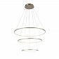 Подвесная светодиодная люстра ST Luce Erto SL904.203.03 - фото №1