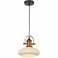 Подвесной светильник Lussole Loft LSP-9845 - фото №1