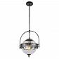Подвесной светильник Lussole Loft LSP-9681 - фото №1