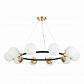 Подвесная люстра Evoluce FORLI SLE220403-10 - фото №4