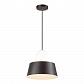 Подвесной светильник Odeon Light Alur 4141/1 - фото №1