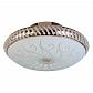 Накладной светильник Toplight Davina TL1481Y-04GC - фото №1