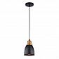 Подвесной светильник Arte Lamp Eurica A4248SP-1BK - фото №1