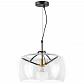 Подвесной светильник Lightstar Acquario 752010 - фото №1