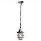 Подвеcной светильник Lussole Loft LSP-9524 - фото №1