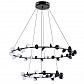 Подвесная светодиодная люстра Arte Lamp Dexter A3619SP-48BK - фото №1