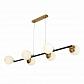 Подвесная люстра Evoluce FORLI SLE220403-06 - фото №1
