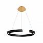 Подвесной светодиодный светильник Loft IT Ring 10025/600 Black - фото №4