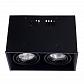 Потолочный светильник Arte Lamp Cardani A5942PL-2BK - фото №1