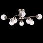 Потолочная люстра Freya Daisy FR5041PL-08BS - фото №3