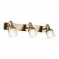 Спот Freya Arlette FR7003WL-03BZ - фото №1