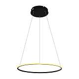 Подвесной светодиодный светильник Arte Lamp A2500SP-1BK