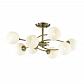 Потолочная люстра Lumion Daniella Comfi 4537/8C - фото №1
