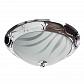 Потолочный светильник Arte Lamp 28 A3008PL-2CC - фото №1