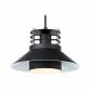 Подвесной светильник Ambrella light Traditional TR8172 - фото №1