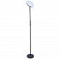 Торшер Arte Lamp Sceptrum A1822PN-1BK - фото №1