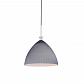 Подвесной светильник Lightstar Simple Light 810 810031 - фото №1