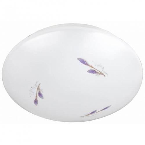 Настенно-потолочный светодиодный светильник ЭРА SPB-6-10-6,5K Lily Б0034971