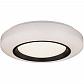 Потолочный светодиодный светильник Globo Gello 48916-40 - фото №1