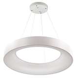 Светильник Odeon Light 4062/80L