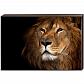 Постер на подрамнике Toplight 60x90х4см TL-D4042 - фото №1