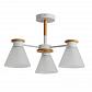Потолочная люстра Arte Lamp Tyler A1031PL-3WH - фото №1