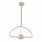 Подвесной светодиодный светильник Loft IT Nuance 8139-C - фото №1