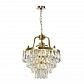 Подвесная люстра Lumien Hall Salvatore LH0037/4P-CO-CL - фото №1