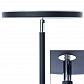 Торшер Arte Lamp Sceptrum A1822PN-1BK - фото №3