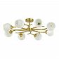 Потолочная люстра Lumion Comfi Giselle 4545/8C - фото №2
