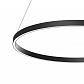 Подвесной светодиодный светильник Maytoni Rim MOD058PL-L42B4K - фото №4