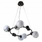 Подвесная люстра Crystal Lux Salvadore SP6H Black Chromium - фото №1