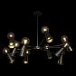 Подвесная люстра Loft IT Halley 10046/10 Black - фото №6
