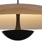 Подвесной светильник Lumien Hall Arta 8007/1PM-WD - фото №2