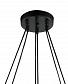 Подвесная люстра Lumien Hall Нерей 4001/6P-BK-GD - фото №3