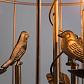 Подвесная люстра Arte Lamp Gabbia A1865SP-3BG - фото №4
