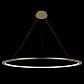 Подвесной светодиодный светильник Loft IT Ring 10014XXL - фото №4