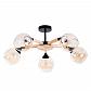 Потолочная люстра Arte Lamp Branson A4370PL-5BR - фото №1