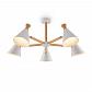 Потолочная люстра Freya Rise FR5169PL-05W - фото №1