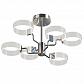 Потолочная светодиодная люстра Freya Eva FR6039CL-L48CH - фото №1